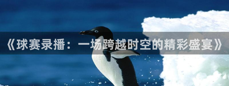 《球赛录播：一场跨越时空的精彩盛宴》