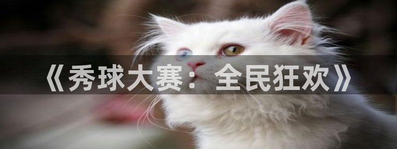 风速体育app下载安装最新版本：《秀球大赛：全民狂欢》
